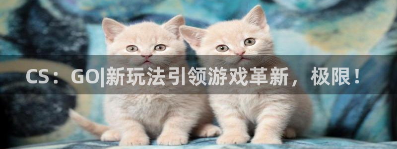 奇亿娱乐测速：CS：GO|新玩法引领游戏革新，极限！
