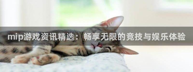 奇亿娱乐平台官网注册：mip游戏资讯精选：畅享无限的竞技与娱