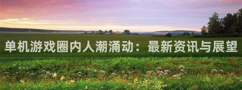 奇亿娱乐平台官网登录：单机游戏圈内人潮涌动：最新资讯与展望